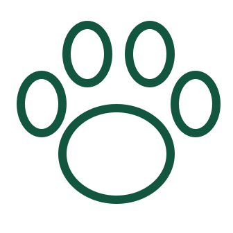 Pata de cachorro